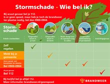 Infographic Storm